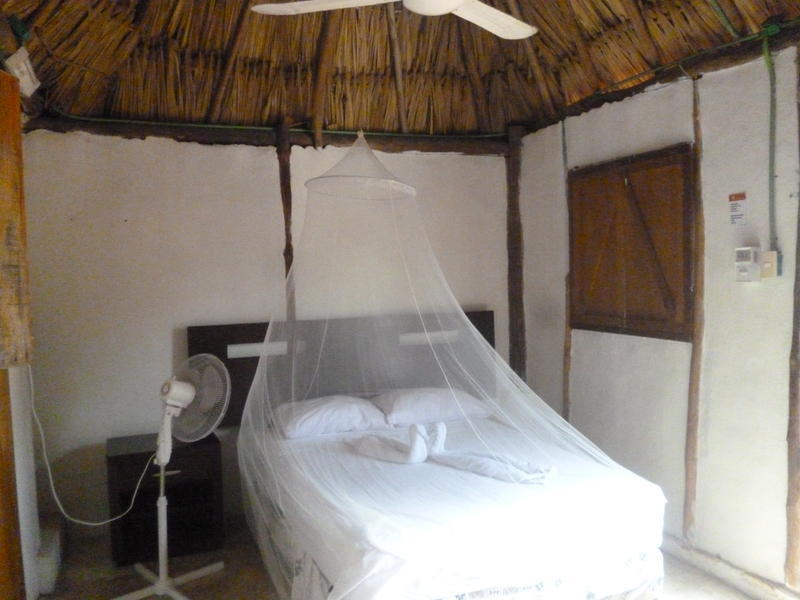 Mayan Hostel 1  2