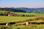 Stay Inn Valkenburg - Image 7