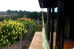 The Sirena Insolente Hostel - Image 4