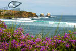 The Sirena Insolente Hostel - Image 9