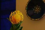 Tafelberg Inn Cape Town - Image 6