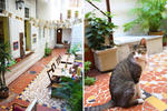 Discovery Hostel - Image 9