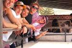 Bodrum Backpackers - Image 6