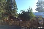 Oso Hostel - Image 3
