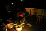 Santa Mix Hostel - Image 7