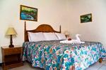 Paradise Sea Star Inn - Image 5