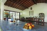 Santa Teresa View - Image 6