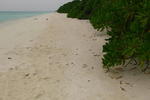 Tropical Lodge Maldives
