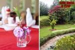 Bush Camp Hotel Nairobi - Image 8