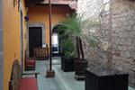 The Only Backpacker's Morelia - Image 5