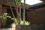 La Cachimba Hostel - Image 3