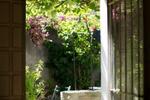 La Cachimba Hostel - Image 6