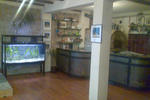 Hostel Posillipo - Image 3