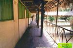 Ecological Jungle Trips & Amazon Lodge