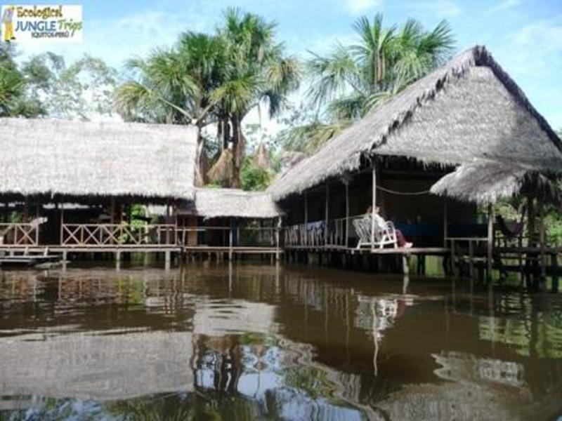 Ecological Jungle Trips & Amazon Lodge  2