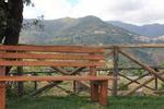 Barone Montefeo - Image 3