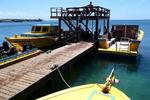 Utila Dive Centre and Mango Inn - Image 2