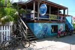 Utila Dive Centre and Mango Inn - Image 3