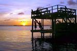 Utila Dive Centre and Mango Inn - Image 4