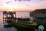 Utila Dive Centre and Mango Inn - Image 5