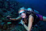 Utila Dive Centre and Mango Inn - Image 8