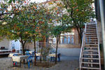 Gulnara - Image 8