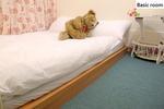 City Bear Hostel - Image 6