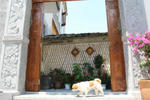 Tengchong Gezi Inn - Image 9