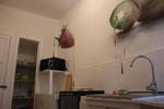 Hostal Po - Image 2