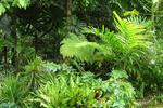 The Epiphyte B & B - Image 2