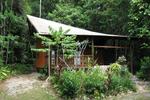 The Epiphyte B & B - Image 5