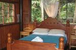 The Epiphyte B & B - Image 6