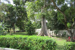 Paradise Lime Tree Villa - Image 6