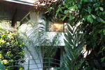 Hotel Mandarina - Image 5