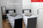 Bachelor Apartment - Image 4
