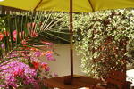 Le Tare B&B