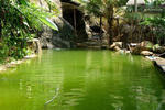 Arogya Nature Cure Centre