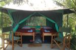 Mara Explorers Camp - Image 4