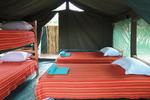 Mara Explorers Camp - Image 7