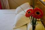 Hotel Castilla Alicante