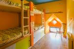 Backpackers Plus - Image 4