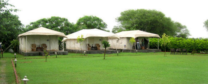 Pushkar Village Camp Resort  3