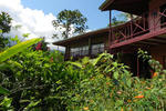 Hummingbird Nest B&B