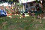 Jardim da Nova Era