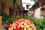 Hotel La Amistad