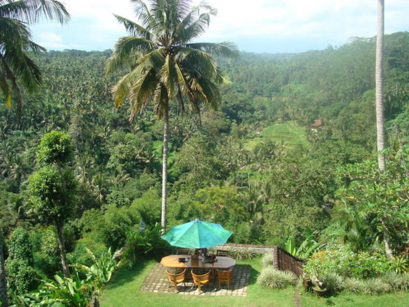 Sayan Terrace Resort  0