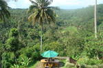 Sayan Terrace Resort