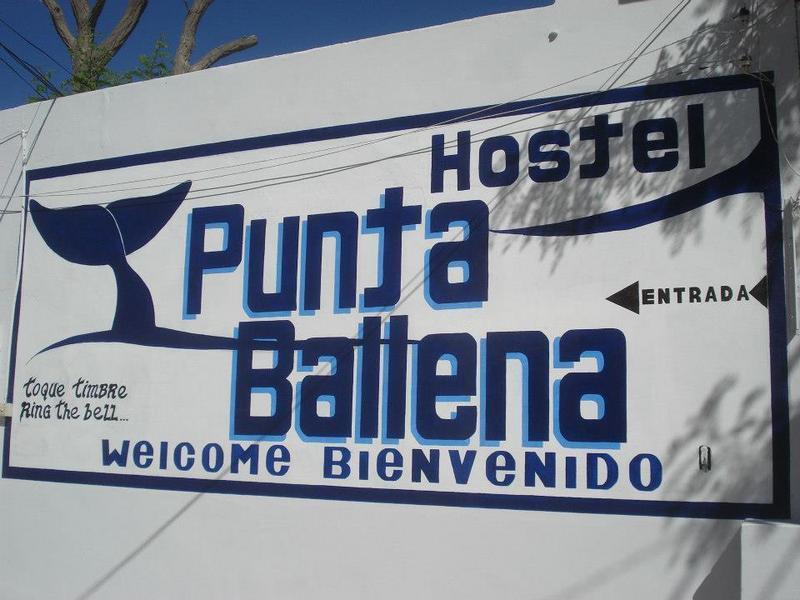 Hostel Punta Ballena  0