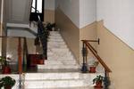 Aloi Rooms