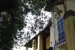 Brasileranza Hostel